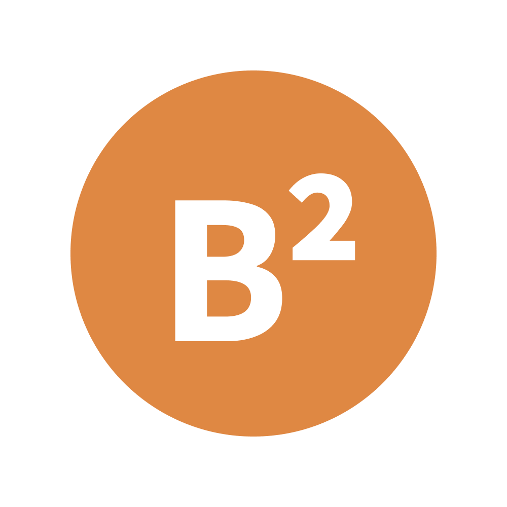 Vitamin B2 