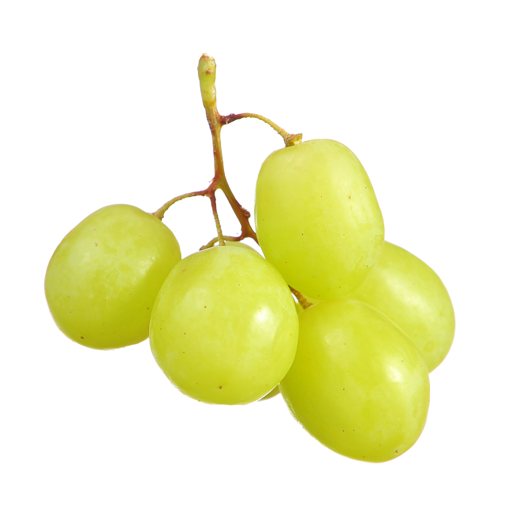 Grape seed extract