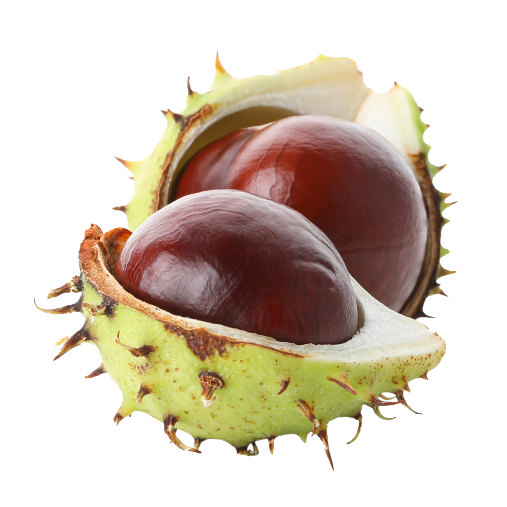 Wild chestnut extract
