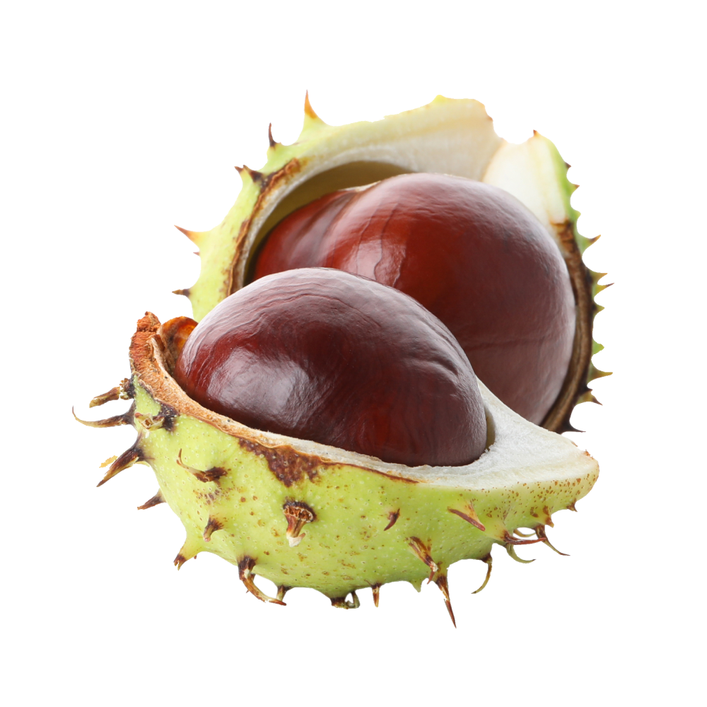 Horse chestnut extract