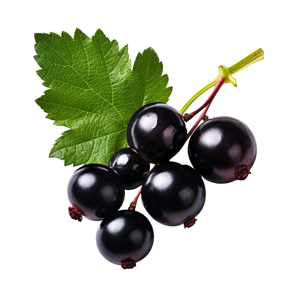 Blackcurrant