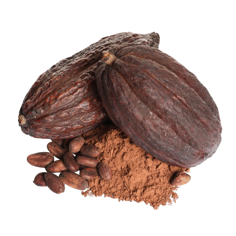 Cocoa extract