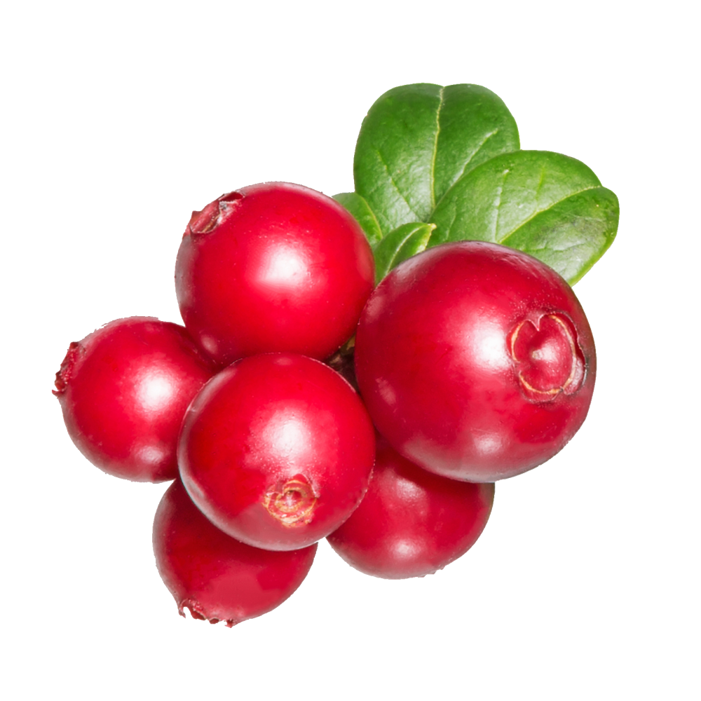 Cranberry extract