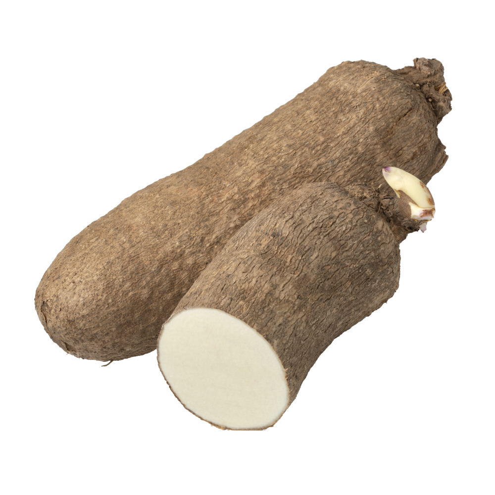 Wild Yam